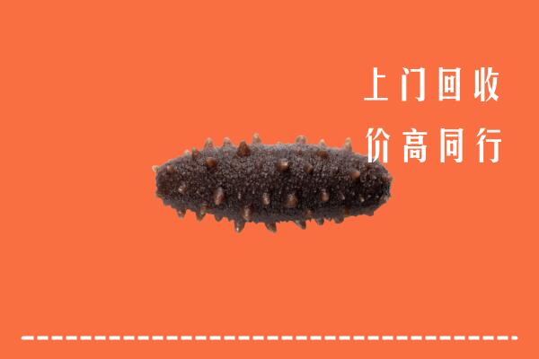 高价求购：凉山州越西县回收海参