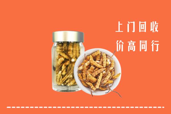 凉山州越西县回收冬虫夏草