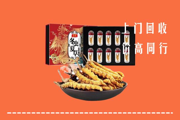 凉山州越西县回收虫草
